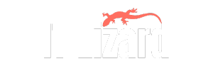 ITLizard-2