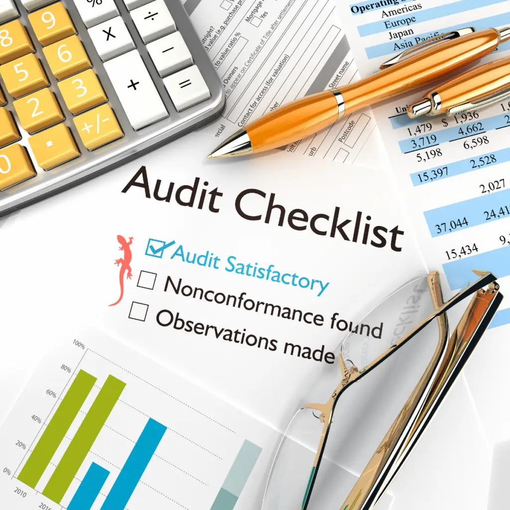website audit